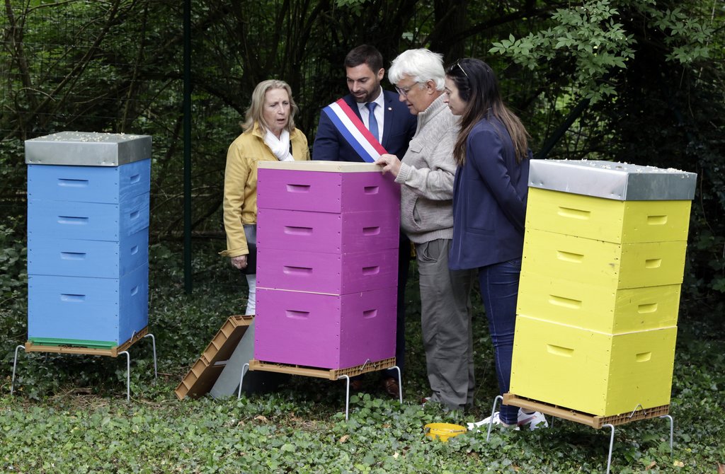 LA MAIRIE SE LANCE DANS L’AVENTURE DE L’APICULTURE