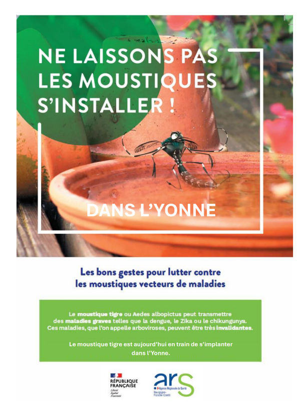 prévention moustique tigre